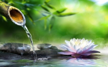 Ta đang là hơi thở chính mình